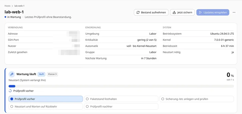 Steuerzentrale von Sentinel im Browser: Wartungslauf eines Linux-Laborservers auf Stufe Voll mit Fortschritt, Prüfprofil und Protokoll.